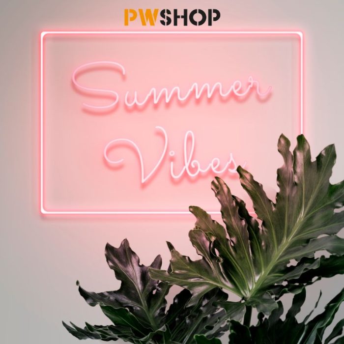 An Ecovista Signage solution mockup by PW Shop. A neon sign saying 'Summer Vibes'
