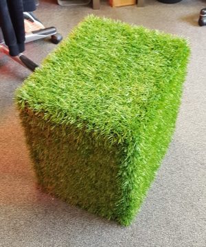 An example of PW Shops Cubic Harmony Collection. This display cube is made to look like it is covered in grass.